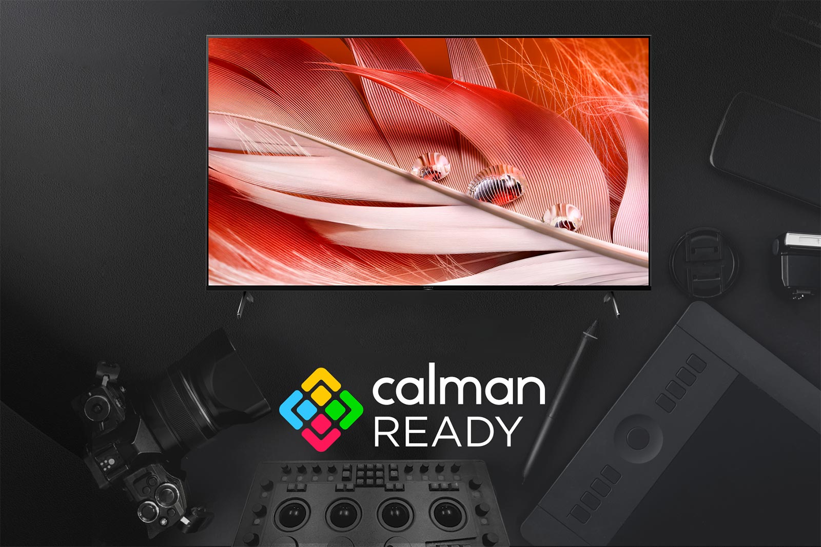 پشتیبانی از برنامه Calman Ready در تلویزیون 55X9000J